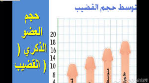الانتصاب طول الذكر الطبيعي بالصور