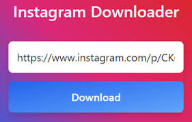 And, with discord's upload file limit size of 8 megabytes for videos, pictures and other files, your download shouldn't take more than a f. Descargador De Instagram Para Videos Fotos Igtv Y Albumes