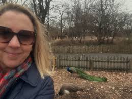 Jane Healey (@healeyjane) • Instagram photos and videos