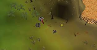 F2p/p2p, ironman and cheap this way you can do quick runs by using house teleport tabs. Old School Runescape The Complete Hunter Guide