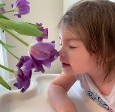 A Miracle for Ella Rose har lagt...