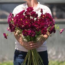 Pin On New Flowers For Bouquets For 2017