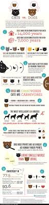 Cats Vs Dogs Shinga Cat Vs Dog Dog Infographic Cat Infographic