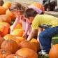 Beacon Sloop Club Pumpkin Festival event image