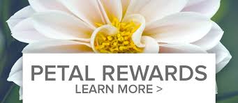Enter your email to grab 10% off your first order at casas adobes flower shop. Casas Adobes Flower Rewards Program Tucson Az