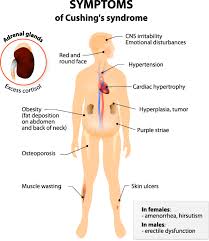Adrenal gland disorder treatment