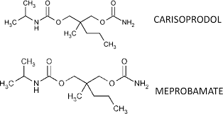 Image result for Meprobamate