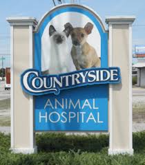 Veterinary housecalls provide more convenience and less stress. Countryside Animal Hospital Veterinarian In Wilson Nc Us