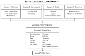 Animals Free Full Text Using The Five Domains Model To Assess The Adverse Impacts Of Husbandry Veterinary And Eq Intervention Welfare Foundation Training