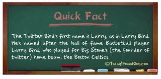 The Iconic Blue Twitter Bird Actually Has A Name Bird Facts Facts About Twitter