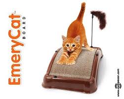 pet urunleri panosundaki pin