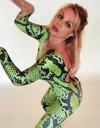 Image result for britney spears python