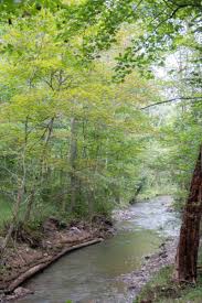 Check spelling or type a new query. Hiking The Limestone Loop At Canoe Creek State Park In Blair County Uncovering Pa