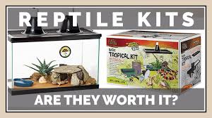 Should You Buy Reptile Starter Kits Are They Worth The Money Youtube