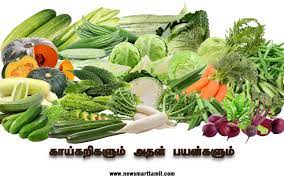 காய்கறிகளும் அதன் பயன்களும் | Vegetable Benefits In Tamil » New Smart Tamil