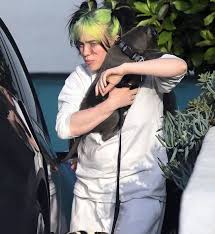 1 669 Vind Ik Leuks 20 Opmerkingen Zoe Billiesnews Op Instagram Some Paparazzi Pictures Of Billie When She Was Vi Billie Billie Eilish Paparazzi Photos