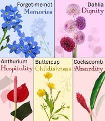 A bit of a wild card, they are very useful for their tall, strong stems symbolize a strength of character as well. Flower Meanings List Of Flowers And Their Meanings Flower Meanings List Of Flowers Amazing Flowers