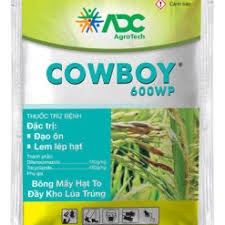 Cowboy 600WP