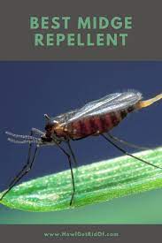 Maybe you would like to learn more about one of these? Best Midge Repellent How I Get Rid Of