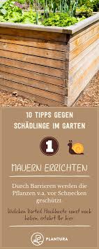 10 Hausmittel Gegen Schadlinge Im Garten Plantura Schadlinge Im Garten Garten Schnecken Im Garten
