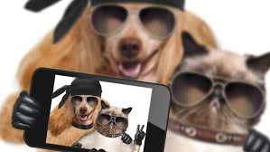 Does this guy's face look familiar?