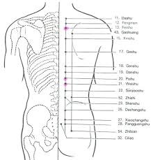 Vessie Pang Guang Tai Yang Natural Health Bladder Blog