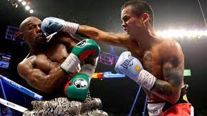 Don't forget to especial del campeón mundial marcos el chino maidana que recorre toda su carrera boxistica en 2. 3vdicrulqmwjsm