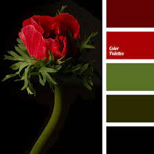 Color Scheme For Interior Design Color Palette Ideas