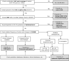 Flow Chart For Variant Analysis