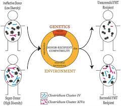 Openbiome is involved with clinical research studying fmt for depression, food allergies, liver disease, and more. Frontiers The Super Donor Phenomenon In Fecal Microbiota Transplantation Cellular And Infection Microbiology