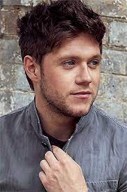 Cd, lp, mc, cd+dvd, download digitale, streaming. Pin By Akanksha Darshan On Niall Horan Fic Niall Horan Photoshoot Niall Horan One Direction Niall
