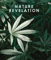 Hemp is a plant used for making rope or the drug marijuana. Home Hempcare