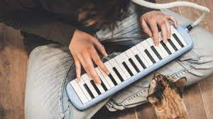 We did not find results for: Not Angka Pianika Terpesona Tribun Jateng