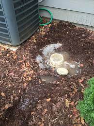 We did not find results for: Having A Septic System Problem Septic Tank Drain Field Troubleshoot
