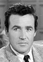 Perry Mason Actor Page