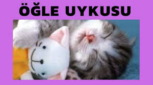 Ogle Uykusu Ogle Uykusunun Faydalari Prof Dr Serdar Akgun Saglikli Ya 2020 Uyku Saglikli Yasam Saglikli