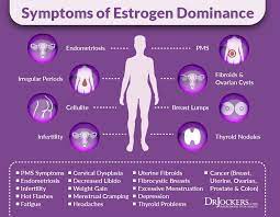 Low estrogen and progesterone are generally caused by menopause or other health conditions. 12 Tips To Balance Estrogen Levels Naturally Drjockers Com