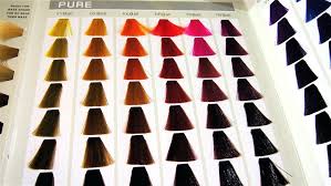 Goldwell Hair Color Chart Lamidieu Org