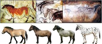 Cave Paintings Showed True Colors Of Stone Age Horses Cave Paintings Prehistoric Painting Extinct Animals