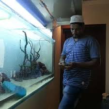 Theme Aquarium Photos Facebook