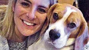 Beagle 'torn to pieces' by dogs