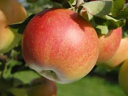 Apfel Und Apfelsaft Sind Gesund Hauenstein Ag