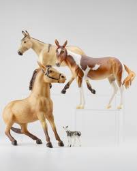 Image result for Thesium breyeri