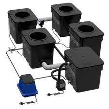 Deep Water Culture Dwc The Definitive Guide Green And Vibrant Hydroponics Diy Hydroponics System Hydroponics