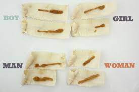 Do Ear Candles Work Ear Candling Ear Candling Benefits Diy Ear Candles