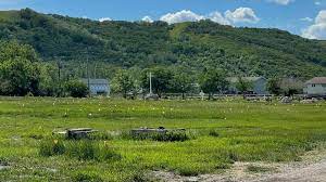 751 unmarked graves found at former saskatchewan residential school! Cl3yyxfdh6knim