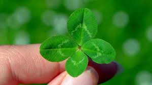 Résultat de recherche d'images pour "bonne chance"