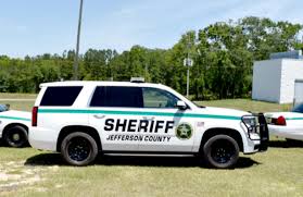 Image result for Sheriffs Tan 2018 Fleet