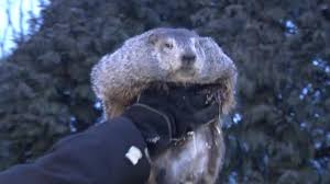 Punxsutawney (/ ˌ p ʌ ŋ k s ə ˈ t ɔː n i /; Groundhog Day Punxsutawney Phil Predicts 6 More Weeks Of Winter