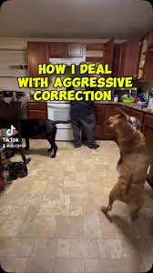 I'm Donnell Wise from Roxboro NC. Our children must be protected from  predators! It could happen to anyone.PLEASE LOOK AT MY PINNED VIDEOS.  PLEASE LIKE & SHARE! #viralreels ##reelsvideo #forvoupage #viralvideos  #theshaderoom #